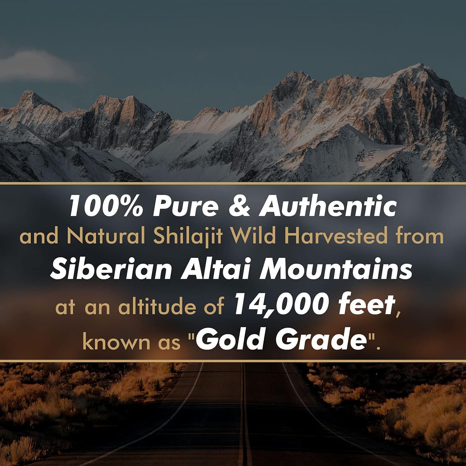 راتنج الشيلاجيت النقي الأصلي م - مراجعة Shilajit Resin Pure وسعره